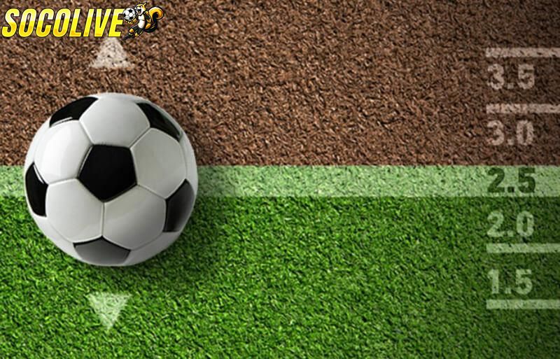 Theo dõi tỷ lệ cược